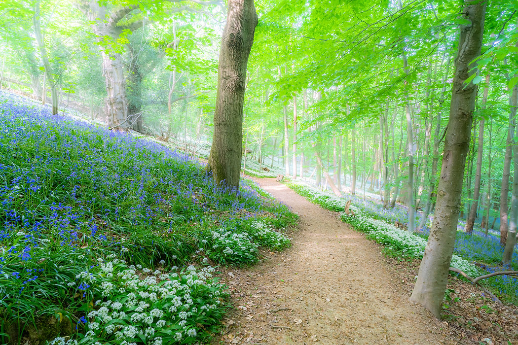 ©Sarah Mott - licenced for web and social media usage_-3.jpg